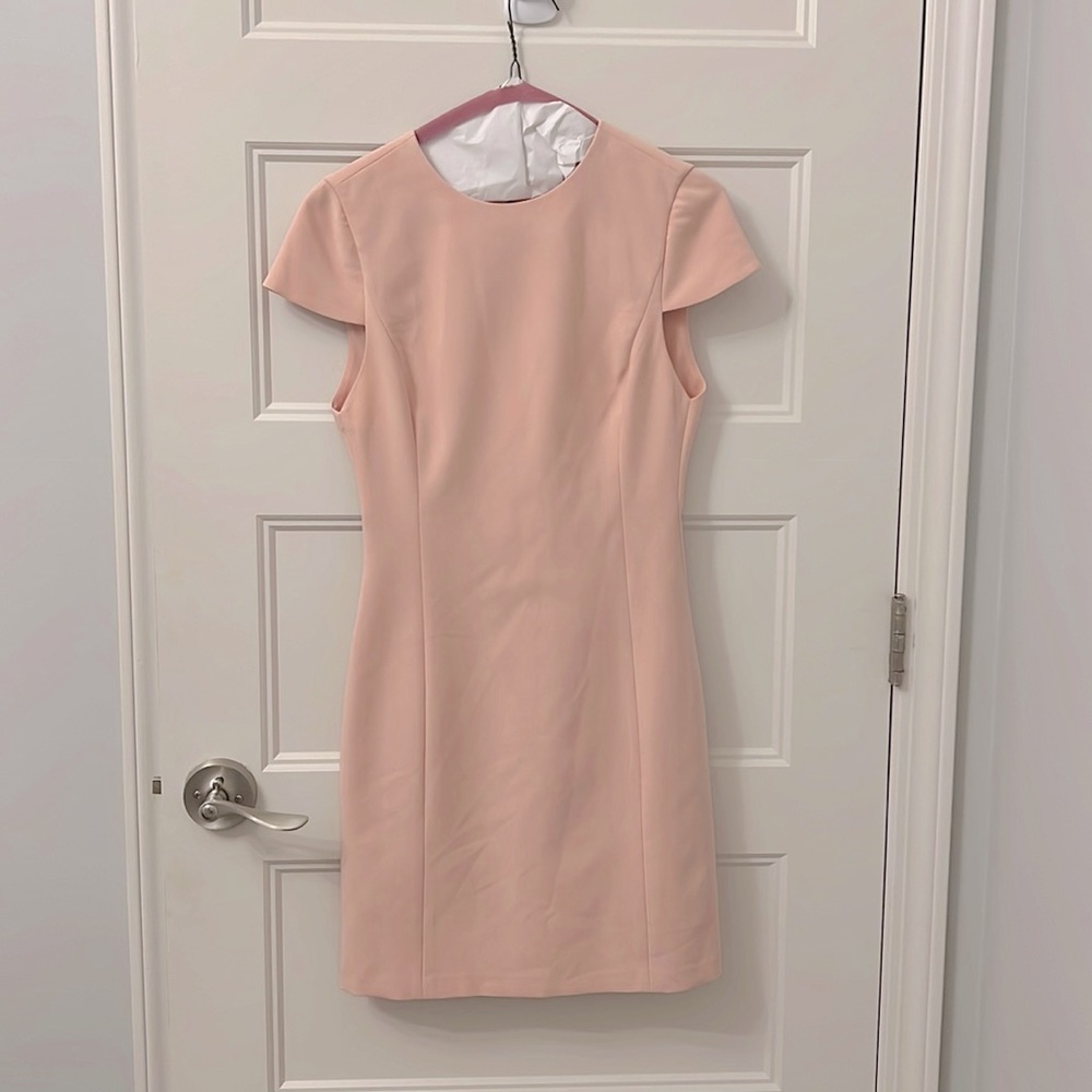 Adorable but modest Alice and Olivia dress.